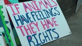 Bournemouth Animal Lovers March